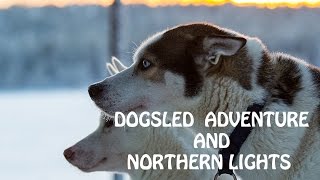 Dogsled Adventure and Northern lights Swedish Lapland 25 jan 2017 [upl. by Ecirtal]