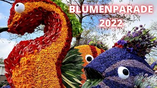 Blumenparade Holland 2022  ALL HIGHLIGHTS  BOLLENSTREEK von Noordwijk nach Haarlem [upl. by Mcgee]