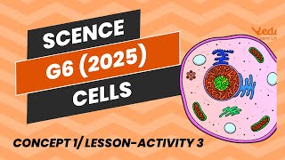 Science G6 Concept 1 Lesson1 cells 2025 Activity3 [upl. by Igic]