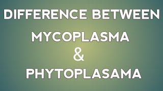 Difference between mycoplasma and phytoplasma in hindiPPLOMLOICARJET12TH RBSEPlant Science [upl. by Eimam]