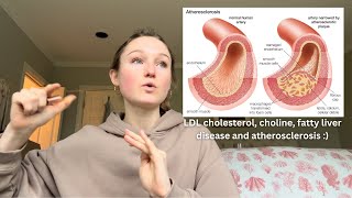 cholesterol and heart disease  choline and fatty liver disease [upl. by Aneekahs]