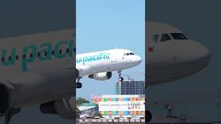 CEBU PACIFIC A320200 landing at Manila Airport shorts aviation a320 plane landing manila [upl. by Nnyllatsyrc]