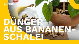 Bananenschalen Dünger ohne Chemie [upl. by Natsuj]