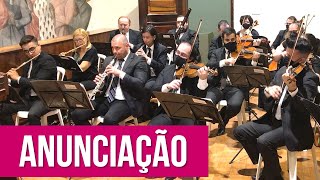 Anunciação instrumental  Alceu Valença [upl. by Broeker922]