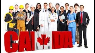 Gian nan trắc trở khi Lao động định cư tại Canada  Làm sao liên lạc IRCC để báo cáo [upl. by Haissi]