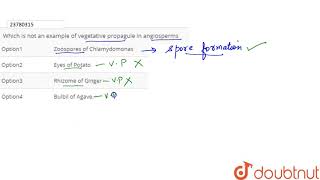 Which is not an example of vegetative propagule in angiosperms [upl. by Trey]