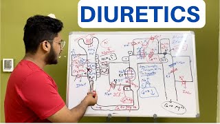 Diuretics  Pharmacology amp Physiology  MBBS  Saad Khan [upl. by Mariya590]