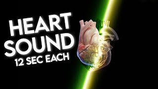 Heart sounds  Heart sounds and murmurs  Auscultation • Daily Cardiology [upl. by Oelc984]