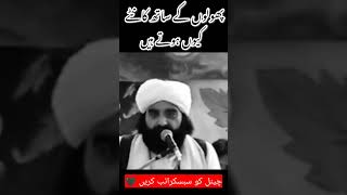 Best Speech about True Friendship Peer Naseer Ud Deen Naseer Gillani RA [upl. by Codding]