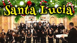 Santa Lucia  Música tradicional napolitana [upl. by Enaek]