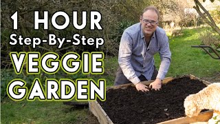 New Vegetable Garden How To Get Started [upl. by Brause]