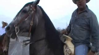 LUPE ESPARZA CABALGANDO Y CANTANDO NO COMPRO AMORES [upl. by Naot971]