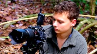 Fujifilm Extension Tubes vs Leaf Cutter Ants [upl. by Kanya459]