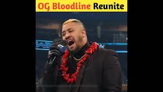 Roman Reigns and Sami Zayn reunite The Og Bloodline shorts wwe [upl. by Ahsekad305]