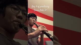 Day 4 of Practicing Swan Lake 🦢 oboe swanlake music youtubeshorts shorts youtube viral [upl. by Ahsiret496]