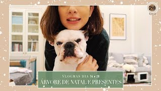 O QUE VOU DAR NO NATAL  VLOGMAS DIA 20  Mafalda Sampaio [upl. by Heimlich]