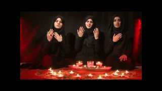 Yateeme Hassan Qasim The Orphan Hashim Sisters Muharram 2014 NEW Noha [upl. by Aerdnaz]