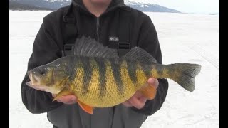 Cascade Lake Perch Ice Out 2022 JawJacker Video [upl. by Alet]