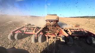 Drilling wheat with Case IH 500T and letting the dust roll…conventional ag 🙄 [upl. by Rehttam]