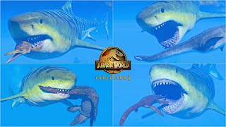 MEGALODON HUNTING ANIMATIONS VS ALL MARINE REPTILES  JURASSIC WORLD EVOLUTION 2 [upl. by Pollyanna201]