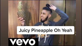 Juicy Pineapple Oh Yeah Official Music Video [upl. by Ansilma]