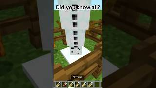 All Secret Minecraft Name tags 🤯 shorts minecraft funny [upl. by Dloraj390]