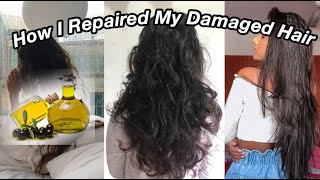 How To Repair Damaged Hair  Natural Remedies [upl. by Evslin]