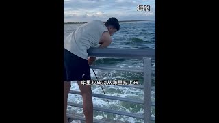 戶外捕魚：男子為哄女友開心海釣出一條大GT 釣魚 釣魚的樂趣只有釣魚人懂 原來釣魚才是抖音運動頂流 [upl. by Trev282]