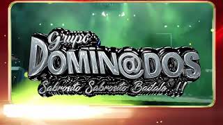 la cumbia poblana DAR grupo Dominados [upl. by Enibas36]