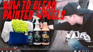 How To Custom Offsets Painted Wheel Shine Kit [upl. by Acillegna611]