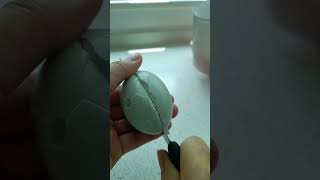 duck egg shortvideo asmrfood eggmazing eggmazing [upl. by Anigger400]