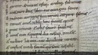 An introduction to Medieval scripts [upl. by Adnam]