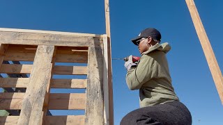 DEVELOPING OUR 10 ACRE DESERT HOMESTEAD ON A BUDGET DIY PALLET FENCE [upl. by Ahseal]