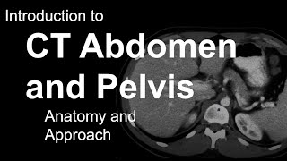 Introduction to CT Abdomen and Pelvis Anatomy and Approach [upl. by Anilys637]