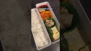 ベルギーで作るお弁当 ベルギー 食事記録 海外生活 節約 お弁当 [upl. by Bridget]