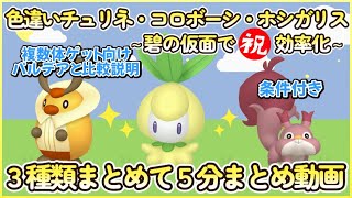 碧の仮面 色違いチュリネ＆コロボーシ＆ホシガリス最高効率3種類５分まとめ【条件付き】 30分平均224体 ポケモンsv 最高効率 色違い チュリネ コロボーシ ホシガリス 碧の仮面 [upl. by Anaillil]