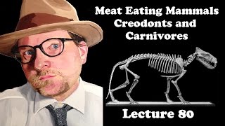 Lecture 80 Meat Eating Mammals Creodonts and Carnivores [upl. by Kalli]