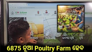 ୬୮୭୫ ନୂଆ Poultry farm heba  go sugam  apicol  new business ideas [upl. by Irahcaz676]