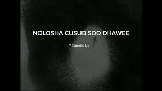 Nolosha cusub soo dhawee  maxamed saciid bk slowed songs [upl. by Christean412]