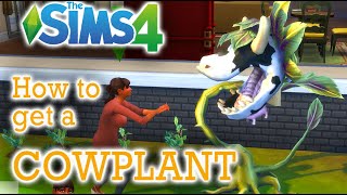 How To Get A Cowplant  The Sims 4 [upl. by Toor644]