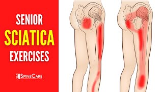 EASY Sciatica Pain Relief Exercises for Seniors [upl. by Mazur817]