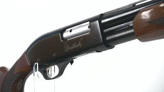 Weatherby PA08 12 gauge Pump Action [upl. by Yaja635]