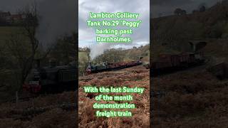 Lambton Colliery Tank No29 ‘Peggy’ barking past Darnholmes with the demonstration freight train [upl. by Icart]