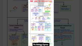 structural organisation in animals class 11 notesclass11 NCERT science notes dear as sir green bd [upl. by Ade]