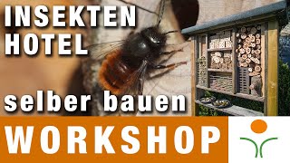 Insektenhotel selber bauen  Das Outdoorstudio für Naturfotografen [upl. by Grassi]