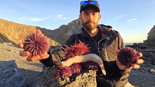 Eels and Uni Sea Urchin  Best Yield Ive Ever Seen [upl. by Tomasz]