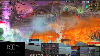 Sunwell Plateau  Felmyst  Holy Priest PoV Atlantiss Buffed TBC server [upl. by Reldnahc5]