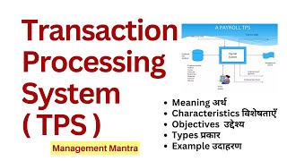 Transaction Processing System TPS Characteristics Management Information System MIS mba bba [upl. by Seedman]