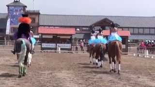 Carrousel Biarritz Lamotte Beuvron 2014 [upl. by Nossyla]