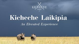 Kicheche Laikipia  An Elevated Experience [upl. by Hutt975]